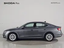 Octavia Style Plus