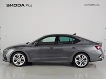 Octavia RS 