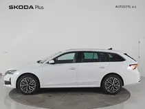 Octavia 