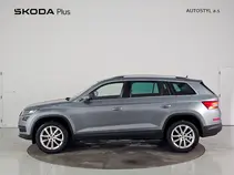 Kodiaq Style