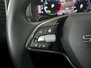 Škoda Karoq Top Selection