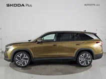 Kodiaq Exclusive Selection