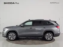 Kodiaq Exclusive Selection