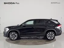 Kodiaq Exclusive Selection