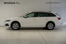 Octavia 