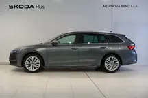 Octavia Exclusive Selection