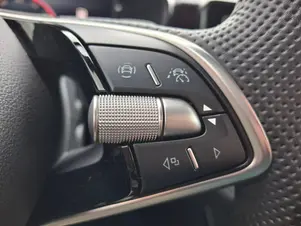 Škoda Fabia Monte Carlo