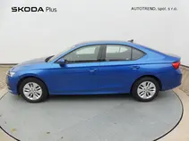Octavia 
