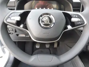 Škoda Kamiq Selection