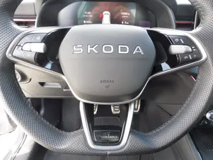 Škoda Kamiq Monte Carlo