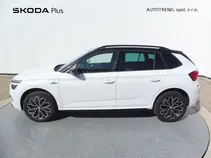 Kamiq Monte Carlo