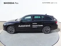 Octavia Top Selection