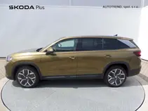 Kodiaq Exclusive Selection