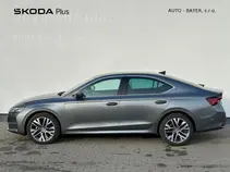 Octavia 