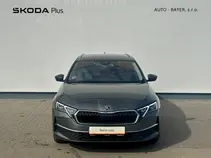 Octavia 