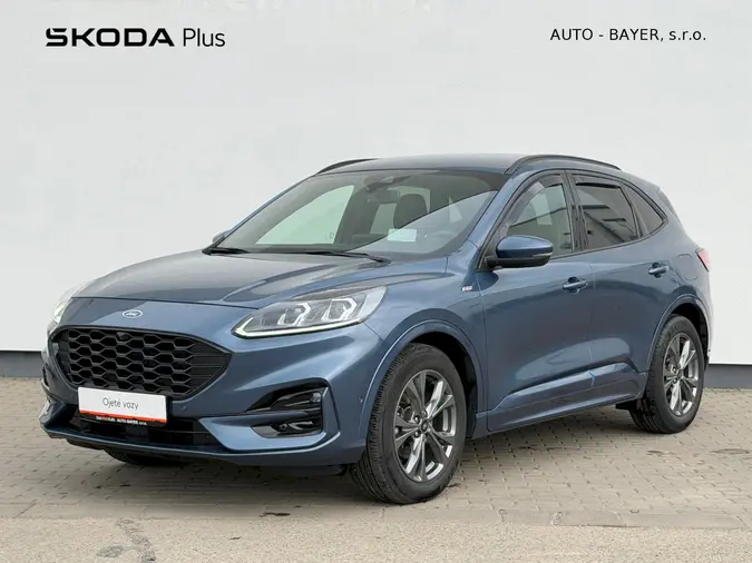 Kuga 