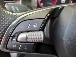 Škoda Kamiq Monte Carlo