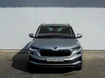 Karoq Style