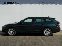 Octavia Ambition