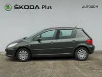 307 