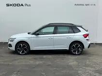 Kamiq Monte Carlo