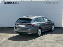 Octavia Exclusive Selection