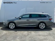 Octavia Exclusive Selection