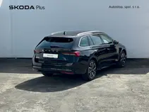Octavia Exclusive Selection