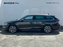Octavia Exclusive Selection