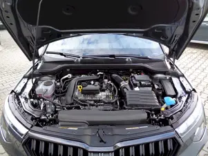 Škoda Kamiq Monte Carlo