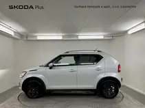 Ignis 