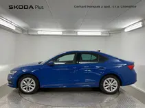Octavia 