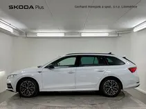Octavia 