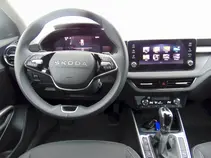 Fabia Top Selection