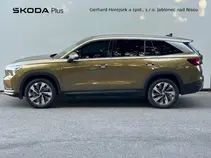 Kodiaq Exclusive Selection