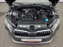 Octavia Top Selection