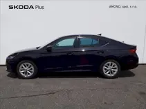 Octavia 