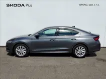 Octavia 