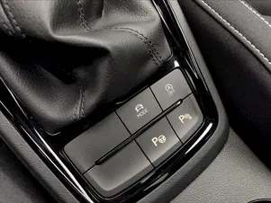 Škoda Kamiq Monte Carlo