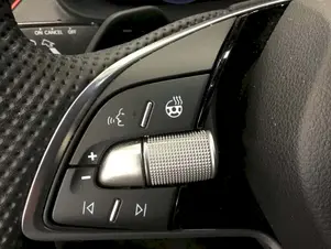 Škoda Kamiq Monte Carlo