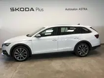 Octavia 