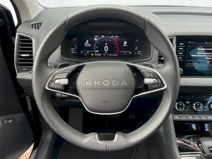 Škoda Karoq Top Selection