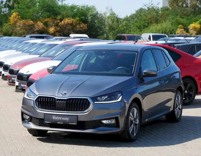 Fabia Style