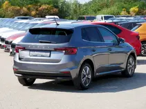 Fabia Style