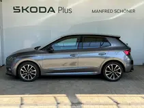 Fabia Monte Carlo