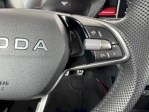 Škoda Fabia Monte Carlo