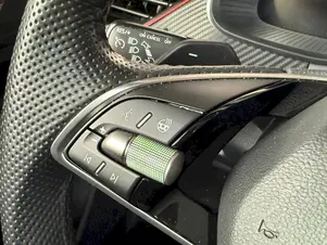 Škoda Kamiq Monte Carlo