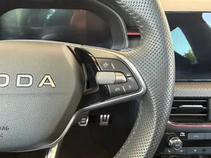 Škoda Kamiq Monte Carlo