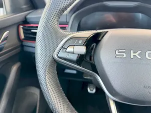 Škoda Kamiq Monte Carlo