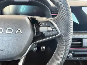 Škoda Kamiq Monte Carlo